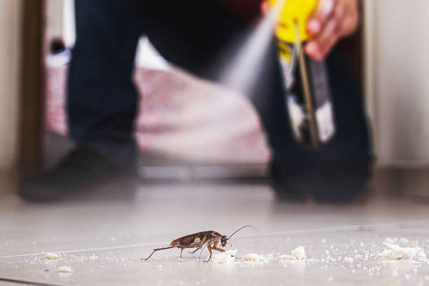 Best Emergency Pest Control  in Nixon, PA