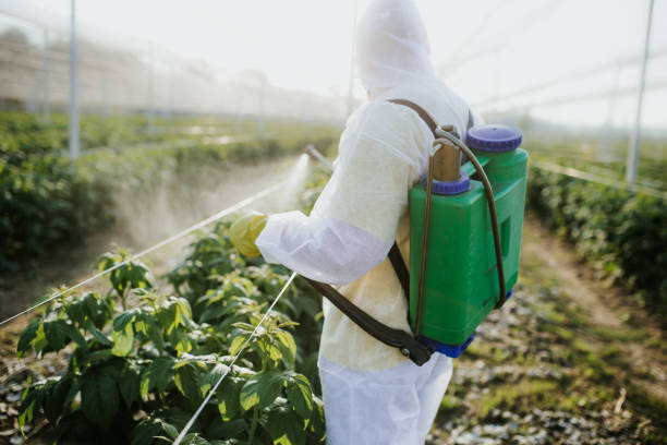 Best Insect Control  in Nixon, PA